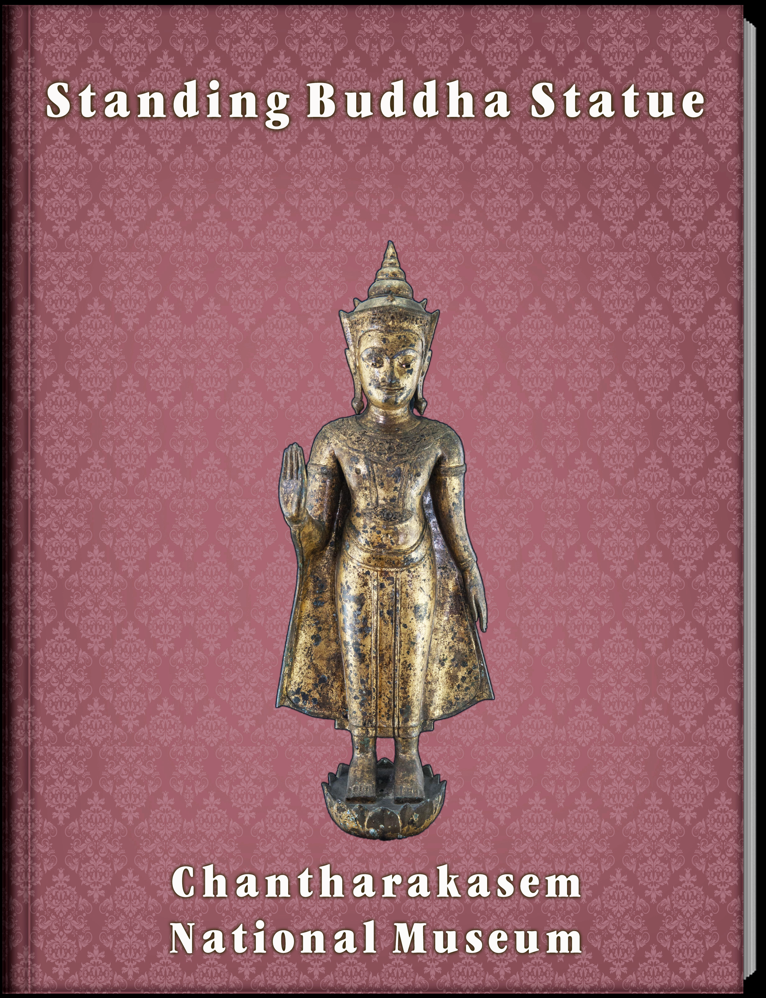 16.Standing Buddha Statue.png